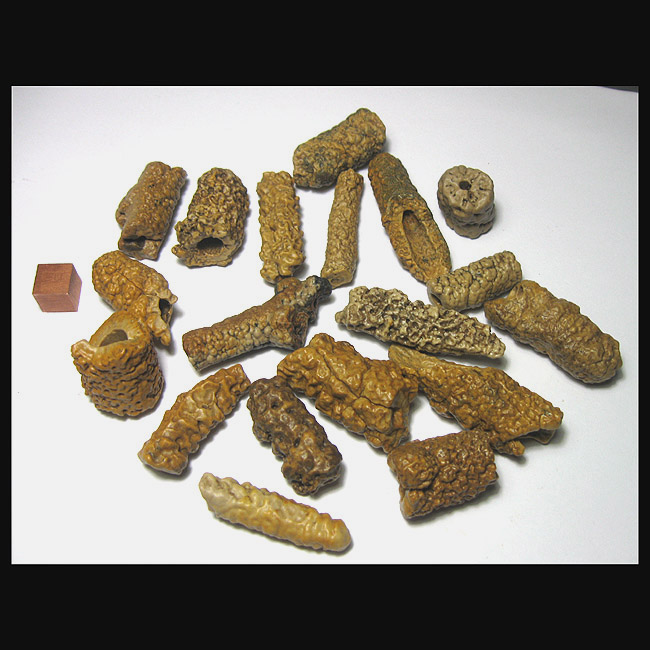 Gobi Manau MN2202GE Xinjiang Gobi tubular agate several (3-4cm188g)