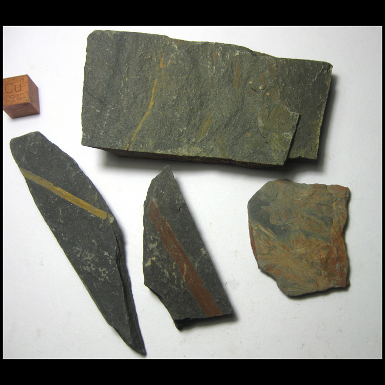 Plant fossils AF2210L3 ash-fossilized * plant fossils 4 (self-mining 3 5-7 5cm122g)