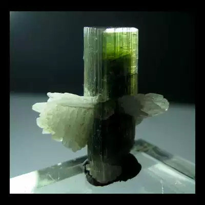 Mine Standard Cat Mine BX5541G7E Tricolor Yannanfeldspar (Pakistan 2 4cm4 8g)