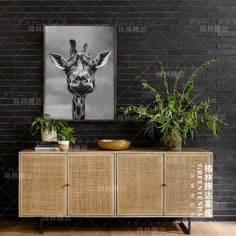 Green Tengda ins TV cabinet Rattan TV kitchen wall cabinet Wall-mounted floor-to-ceiling cabinet Living room bedroom TV cabinet