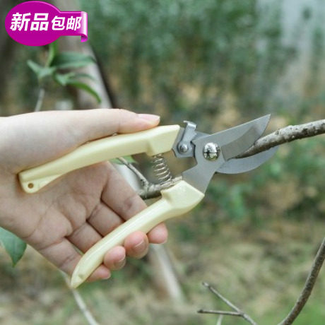 园艺修枝剪刀不锈钢果树花枝剪刀粗枝剪盆栽园林工具剪子新品包邮