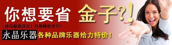 폼 경량 휴대용 옥스포드 표면 Erhu 하드 케이스 - 충격 방지, 방수, 휴대 가능 Erhu 케이스