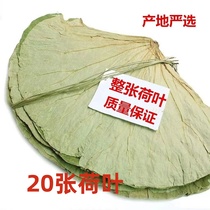 20 whole lotus leaves dried lotus leaves whole dried lotus leaves whole lotus leaves new lotus leaf chicken lotus leaf rice glutinous rice chicken