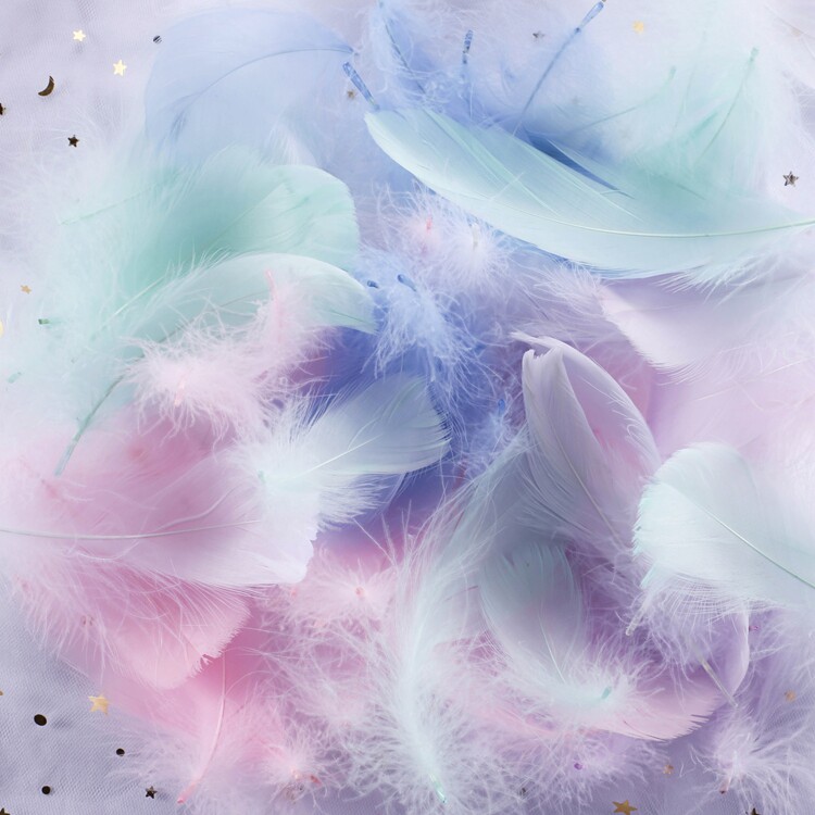 White goose feather in nail in nail to cosmetic cosmetics to shoot background photography decoration decoration