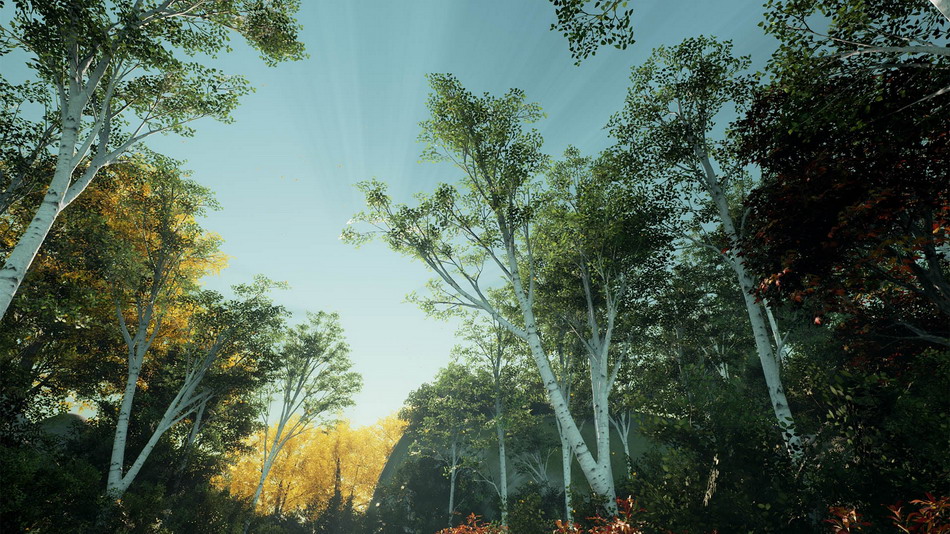在建筑可视化创建的XBH TREE Vol. 1 - 虚幻引擎商_6e99b1ba.jpg
