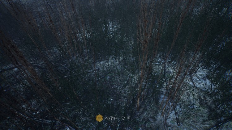 Bleak Winter Park 荒凉的冬季公园树木植被街道路场景