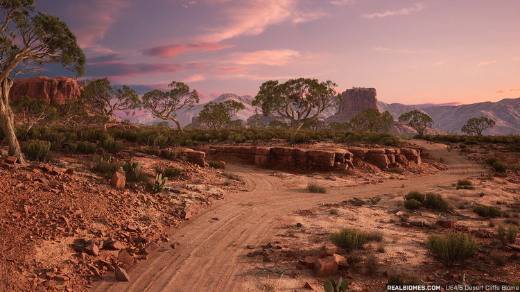 RealBiomes Desert Cliffs_05.jpg