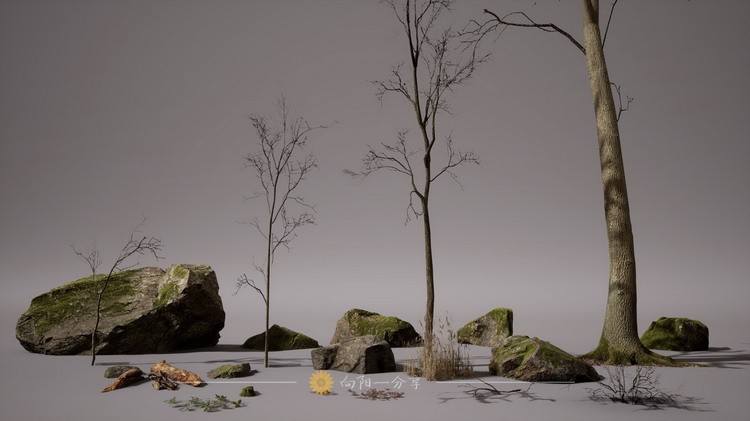 Procedural Forest 写实破败枯木荒凉森林树林藻泽场景