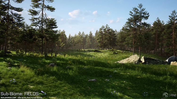 的Scots Pine Forest Biome - 008.jpg