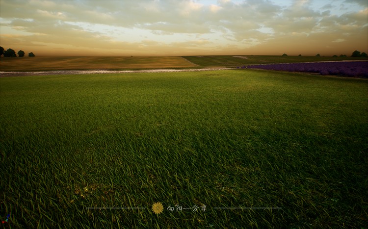 England Fields - Real Scale SatelliteData真实规模卫星数据