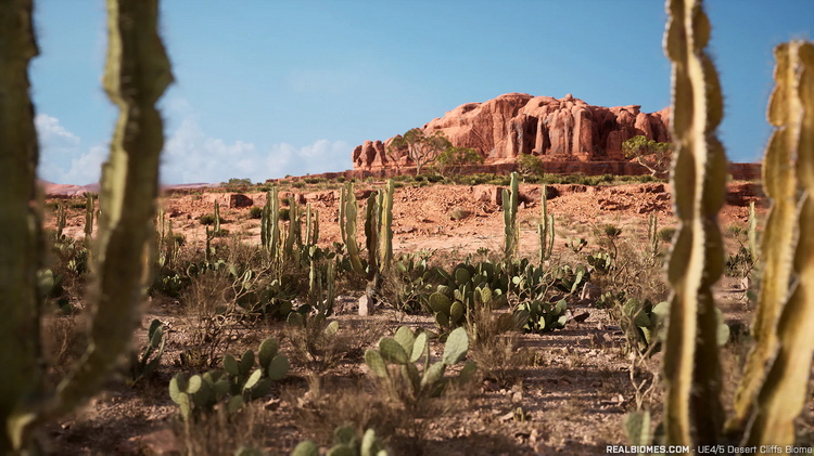 RealBiomes Desert Cliffs_15.jpg