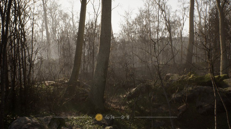 Procedural Forest 写实破败枯木荒凉森林树林藻泽场景