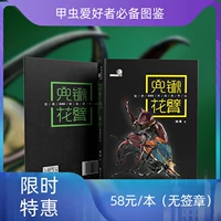 Makino Worm Club, книжные иллюстрации Beetle Beetle Flower Arm, насекомые, гвозди, декоративные картинки науки и энциклопедии насекомых