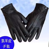 Настоящая овчина