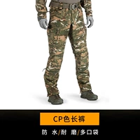CP Color Bunders