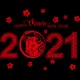 C Модель 2021F