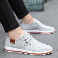 Q868/Grey
