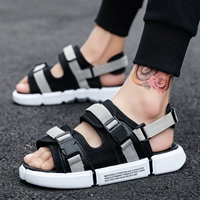 8833/черный серый