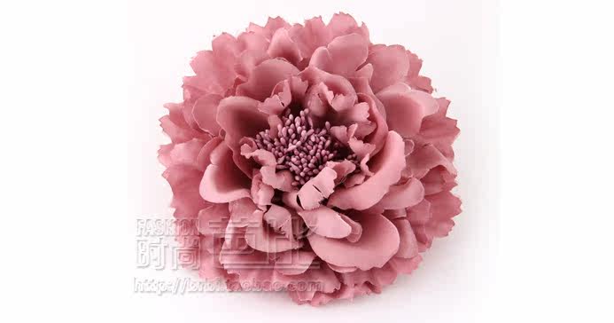 Broche femme en Fils de soie - Ref 1185617 Image 44