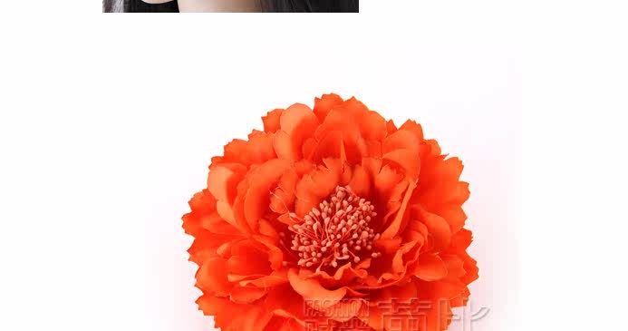 Broche femme en Fils de soie - Ref 1185617 Image 26