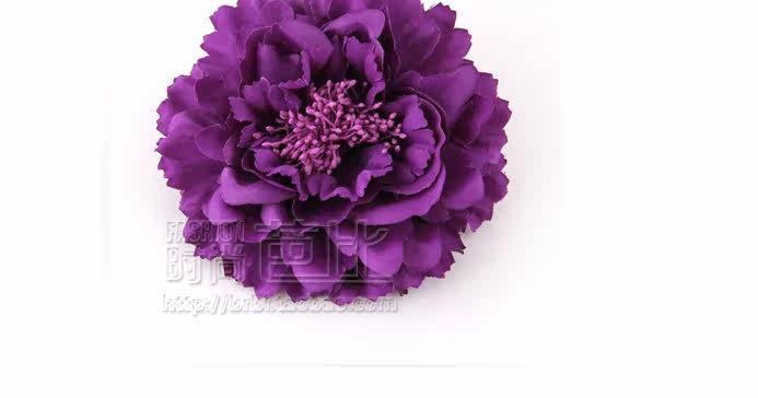 Broche femme en Fils de soie - Ref 1185617 Image 50