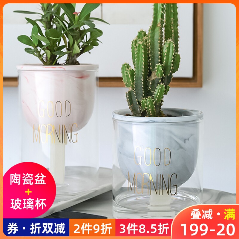Minimalist modern sloth flower pot automatic suction glass transparent multi-meat ceramic basin hydropony INS wind creative new