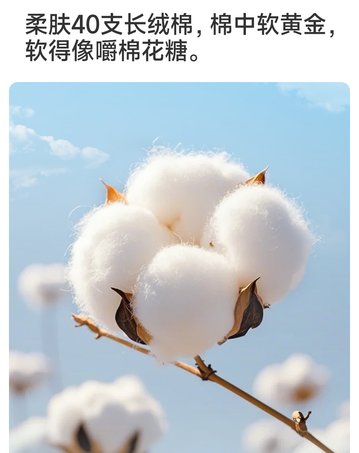 JQ婧麒产后高腰内裤纯棉不磨刀疤加长裆收腹月子期剖腹产专用内裤 — 8