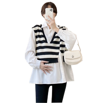Maternity wear autumn fake two-piece long-sleeved Polo collar striped top 2024 new Korean version spliced ​​baby doll shirt T-shirt