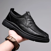 FLL9225 Black Hap Emmerella (SF Free Dropping)