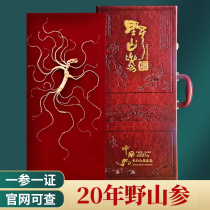 Wild ginseng Changbai Mountain ginseng high-end soaked wine Northeast specialty wild ginseng forest mountain ginseng dry goods gift box