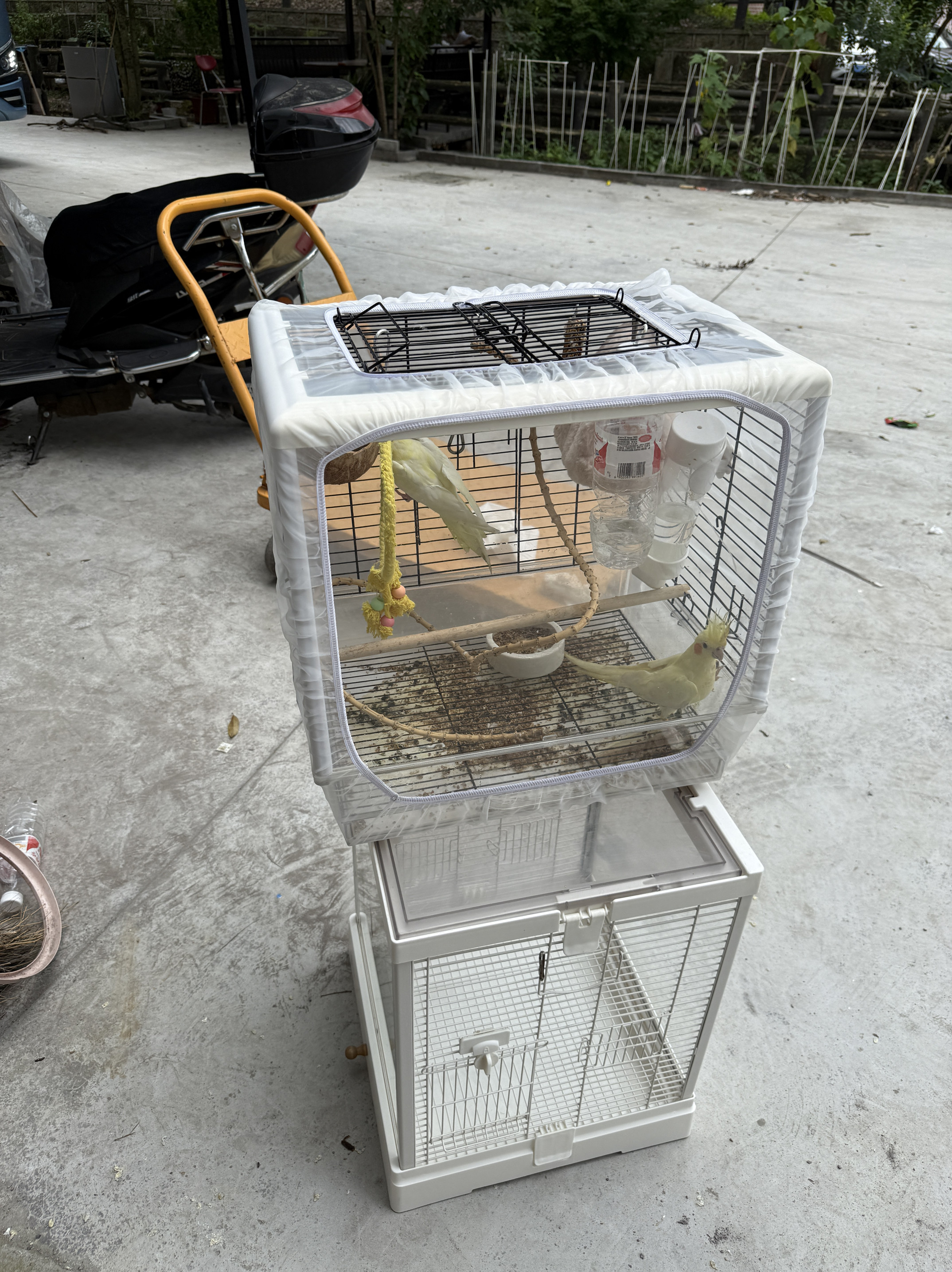 Кейдж костюм 鸟笼防蚊网防溅网防撒食罩鸟笼防羽毛网罩达洋粤迪优嗖，支持定做 Other