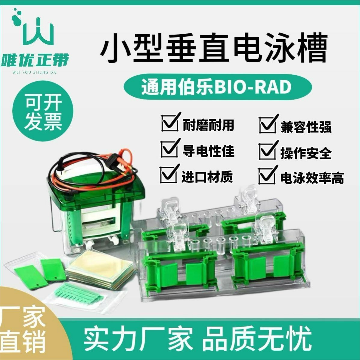 通用Bio-Rad伯乐电泳芯电泳槽配件小型垂直电泳槽