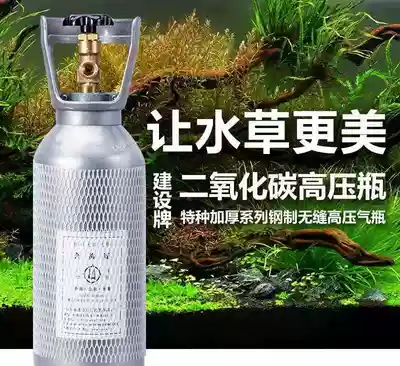 CO2 set gas cylinder Shandong construction cylinder fine machine animal husbandry electromagnetic gauge pressure gauge carbon dioxide set