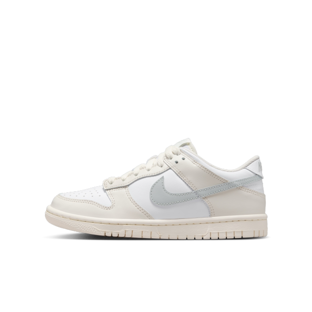 Nike Women's Dunk Low Low-Top Lace-Up Sports Sneakers Youth Casual Shoes Fb9109-109