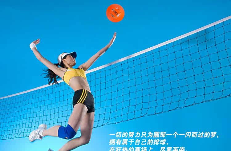 Ballon de volley-ball - Ref 2010963 Image 6