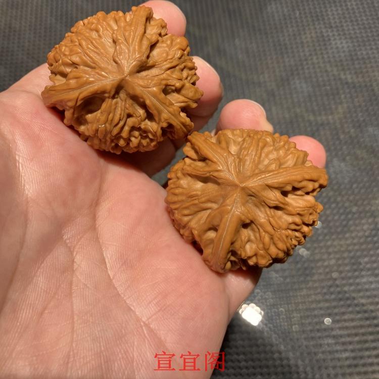 文玩核桃狮子头精品御龙粗筋文山三棱正球奔手盘把玩收藏级麻核桃