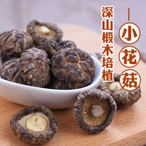Shiitake Mushroom mushroom 250g Qingyuan local specialty basswood Mushroom Mushroom mushroom