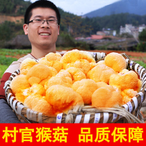 Hericium Erinaceus dried goods 320g farm self-produced fresh natural edible fungus hand-selected sulfur-free smoked Hericium erinaceus