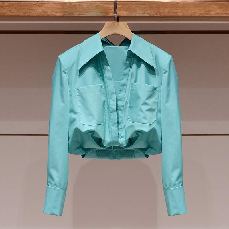 Women's Shirt with Unique Design, 2025 Spring New Style, Polo Collar, Long Sleeves, Elegant, Waist-Cinching, Short Top
