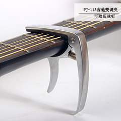 PJ-11AУȡҶ