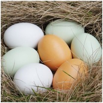 Wooden childrens toys realistic simulation egg painted graffiti toys House toys kindergarten teaching aids