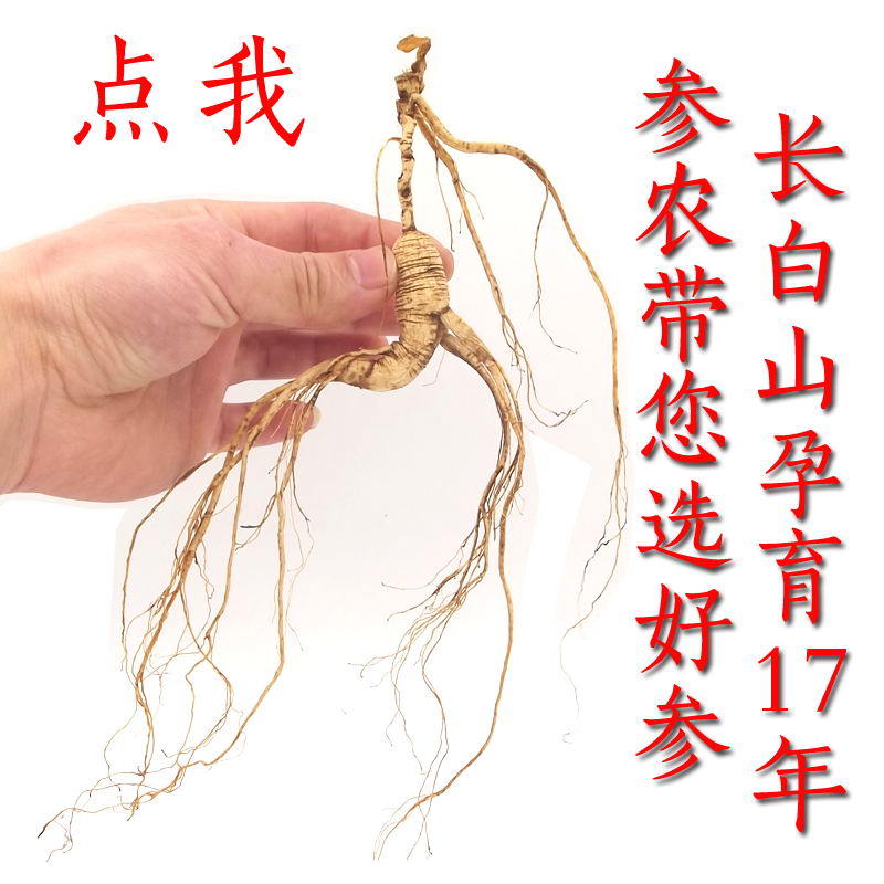 17-year-old wild ginseng Changbai Mountain wild ginseng Northeast specialty forest ginseng wine material ginseng gift box dry ginseng