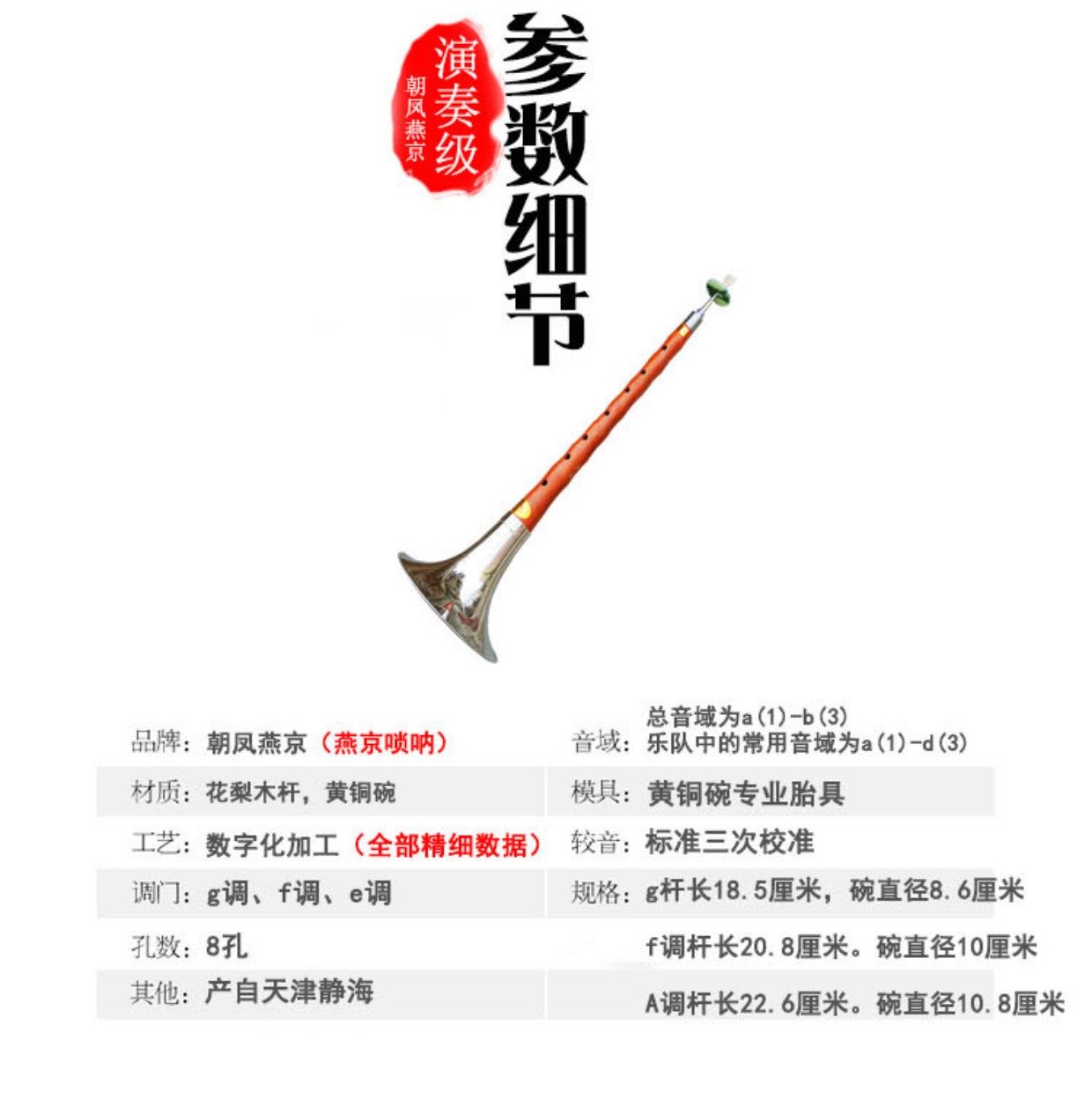 Nhạc cụ nhà máy Yanjing trực tiếp cho trẻ em người mới bắt đầu chơi gỗ hồng mộc g, f, e điều chỉnh lễ hội - Nhạc cụ dân tộc sáo