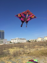 Kunming City Yunnan Province Tianfei Flower Butterfly Kite
