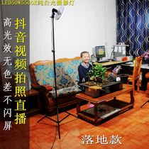  The charm of photography LED50W5500K white light photography light Food character jewelry studio live shooting fill light