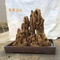Absorbent stone bonsai water stone bonsai rockery rockery containing basin bonsai stone can be customized as required pool rockery