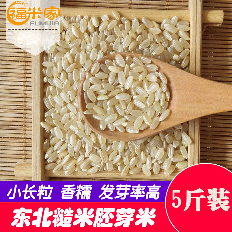 Now Grinding Northeast Brown Rice New Rice 5 Catty Whole Germ Rough Rice Fitness rice Rice Grains rice cereal 5 Valley grocery rice cereal