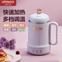 Export original mini health pot office household multifunctional automatic tea mini small cup kettle