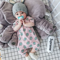 Розовые фрукты плоская ветчина