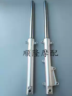 Locomotive front shock absorber for Fengxiang 125 vying for 125WY125-M-L-N front shock absorber front fork